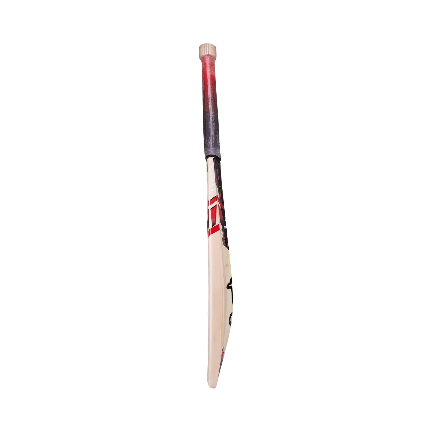 0006680_kb-beast-51-cricket-bat.webp