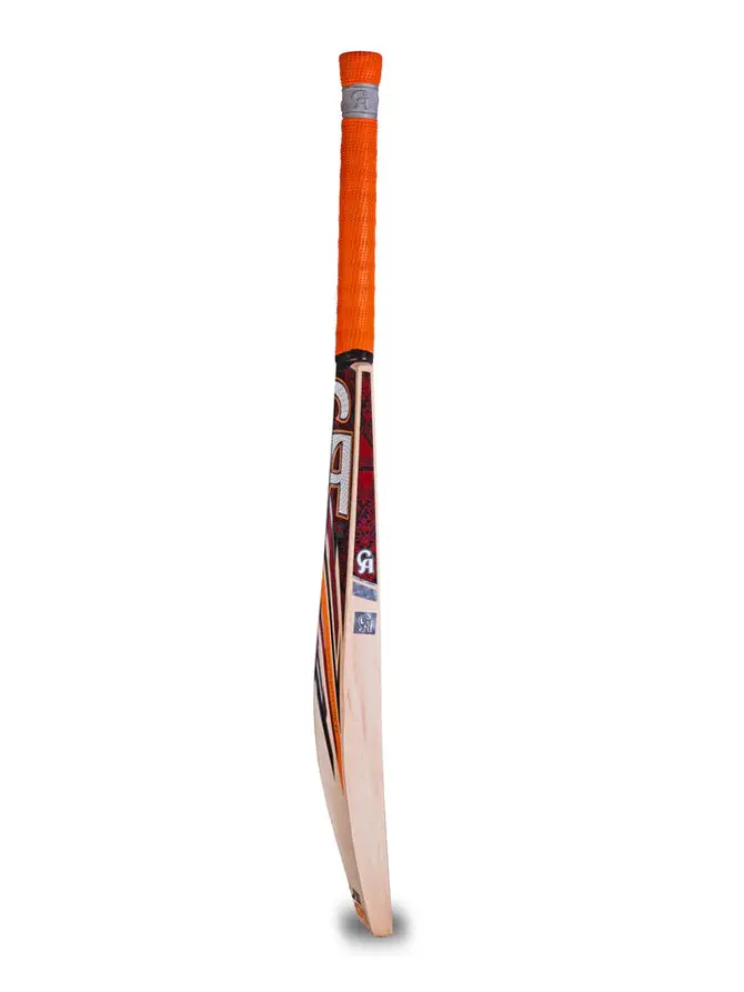 PLUS-10000-CRICKET-BAT5_900x_60bfc103-50de-45cd-93ec-87f57211e285_670x.webp